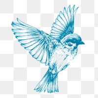 Blue sparrow png bird sticker, vintage illustration on transparent background. Free public domain CC0 image.