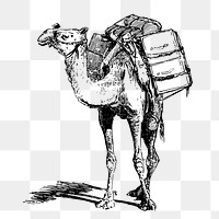 Laden camel png sticker, animal-powered transport illustration on transparent background. Free public domain CC0 image.