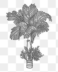 Betel palm png tree sticker, vintage plant illustration on transparent background. Free public domain CC0 image.
