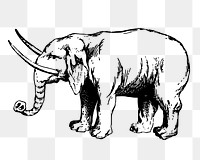 Elephant png sticker, vintage animal illustration on transparent background. Free public domain CC0 image.