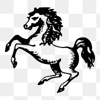 Rearing horse png sticker, animal vintage illustration on transparent background. Free public domain CC0 image.