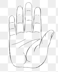 Palm hand png sticker, body part vintage illustration on transparent background. Free public domain CC0 image.
