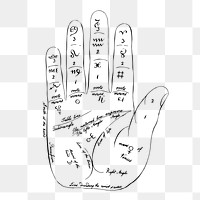 Palmistry hand png sticker, fortune-telling vintage illustration on transparent background. Free public domain CC0 image.