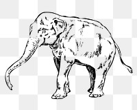 Elephant png sticker, wildlife vintage illustration on transparent background. Free public domain CC0 image.