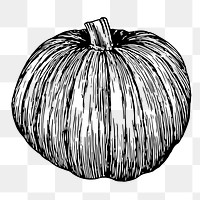 Pumpkin png sticker, vegetable vintage illustration on transparent background. Free public domain CC0 image.