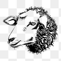 Sheep head png sticker, animal vintage illustration on transparent background. Free public domain CC0 image.