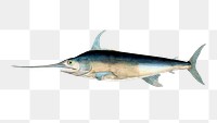 Swordfish png sticker, sea life vintage illustration on transparent background. Free public domain CC0 image.