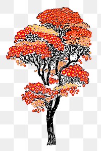 Japanese autumn tree png sticker, transparent background. Free public domain CC0 image.