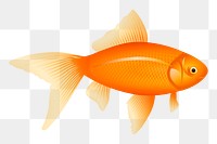 Goldfish pet png sticker, transparent background. Free public domain CC0 image.