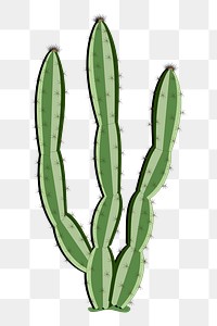 Cactus png sticker plant illustration, transparent background. Free public domain CC0 image.