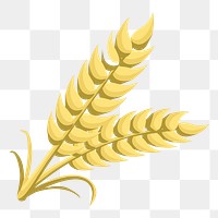 Wheat png sticker food illustration, transparent background. Free public domain CC0 image.