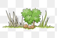 Bush border png sticker plant illustration, transparent background. Free public domain CC0 image.