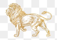 Gold lion png sticker, wildlife aesthetic illustration, transparent background