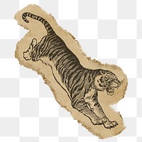 Jumping tiger png sticker, ripped paper, animal illustration, transparent background