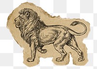 Lion png sticker, ripped paper, animal illustration, transparent background