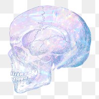 Skull png sticker, aesthetic holographic illustration, transparent background