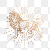 Lion png sticker, vintage animal, gold illustration, transparent background