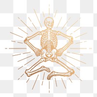 Human skeleton png sticker, aesthetic gold illustration, transparent background