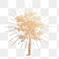 Tree png sticker, vintage botanical gold illustration, transparent background