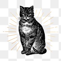 Cat png sticker, vintage animal illustration, transparent background