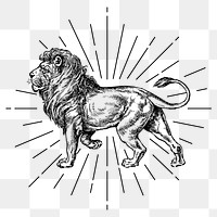 Walking lion png sticker, vintage animal illustration, transparent background