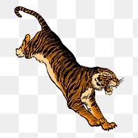 Jumping tiger png sticker, vintage animal illustration, transparent background