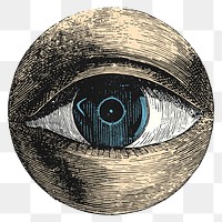 Human eye png sticker, vintage body part illustration, transparent background
