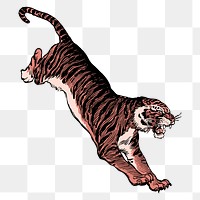 Jumping tiger png sticker, animal aesthetic, vintage illustration, transparent background