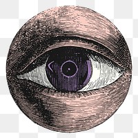 Eye etching png sticker, vintage illustration, transparent background
