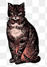 Sitting cat png sticker, pet aesthetic, vintage illustration, transparent background