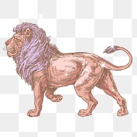 Lion png sticker, sparkly animal aesthetic illustration, transparent background