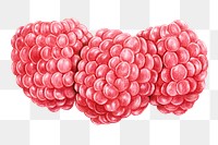 Organic food red raspberry png illustration