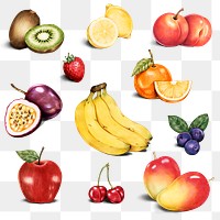 Fruits illustration png organic food hand drawn mixed