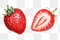 Vintage red strawberry sticker png illustration