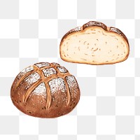 Sourdough bread freshly baked png illustration sticker