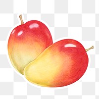 Apple mango fruit illustration png organic food hand drawn