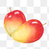 Apple mango fruit illustration png tropical fruit sticker