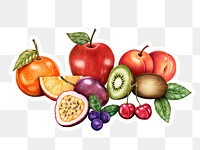 Fresh organic fruits assorted png hand drawn illustration