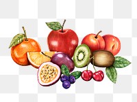 Fresh summer fruits assorted png organic illustration