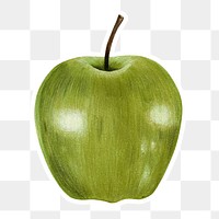 Green apple fruit illustration png organic food hand drawn