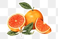 Hand drawn tangerine fruit sticker with a white border design element