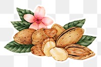 Hand drawn almonds sticker with a white border design element