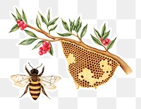 Hand drawn honeycomb sticker with a white border design element