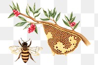 Hand drawn honeycomb sticker design element