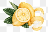 Hand drawn lemons fruit sticker design element