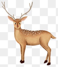 Cute fallow deer animal png sticker drawing