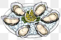 Colorful png oyster salt-water bivalve platter