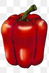 Colorful bell pepper isolated png transparent 