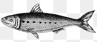 Black and white sardine png transparent