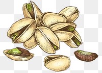 Colorful pistachio transparent png set 